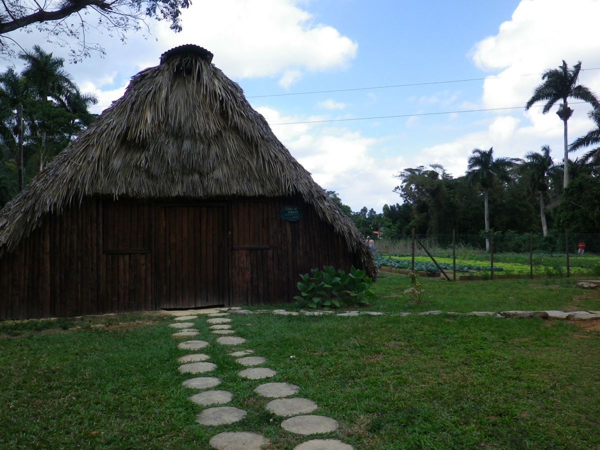 Organic Farm09.jpg